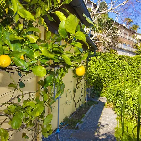 Villa Il Giardino Dei Limoni *